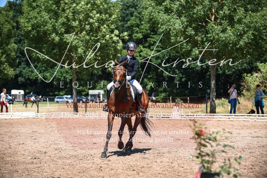 DSC_2886 | Pferde- und Turnierfotografie in Westsachsen. Pferdeportraits, Auftragszeichnungen und intuitive Kunst.