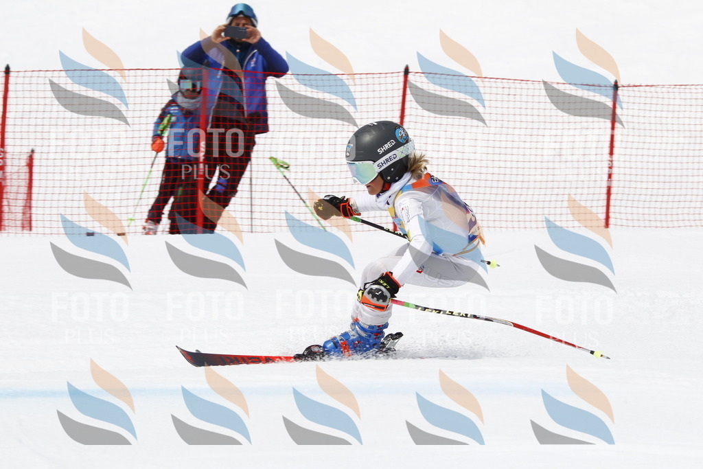 _U3G7579 | holidayphoto