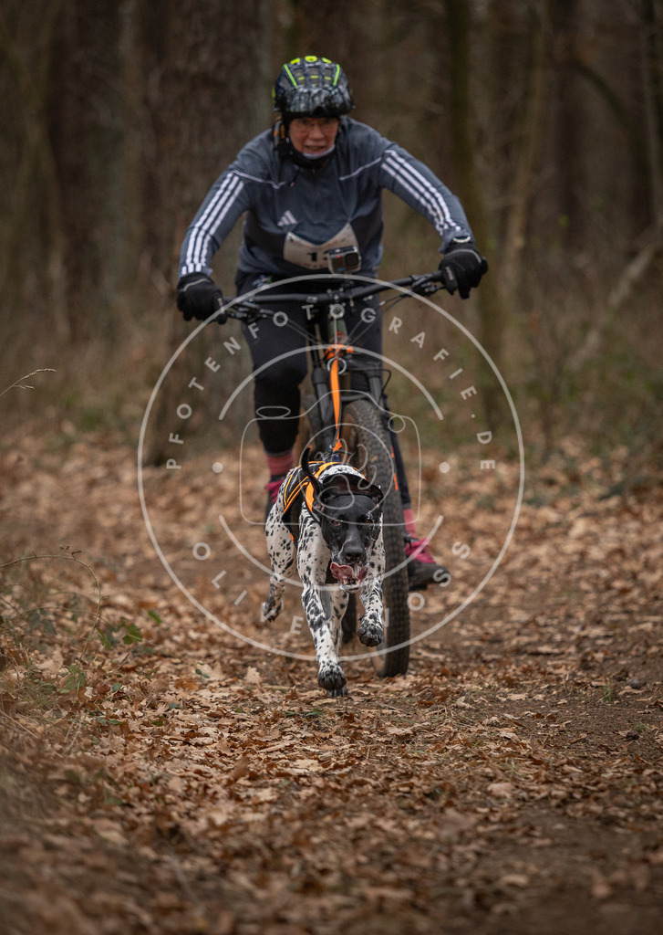 Pfotenfotografie_DV3A7013 | Hundefotografie, Tierfotograf, Pfotenfotografie, Fotoshooting Hund, Hunde Portrait, Hundesport, Hundeportraits, Heideshooting, Hunde, Sportfotograf, Hundefotograf, Turnierhundsport, THS,  - Realisiert mit Pictrs.com