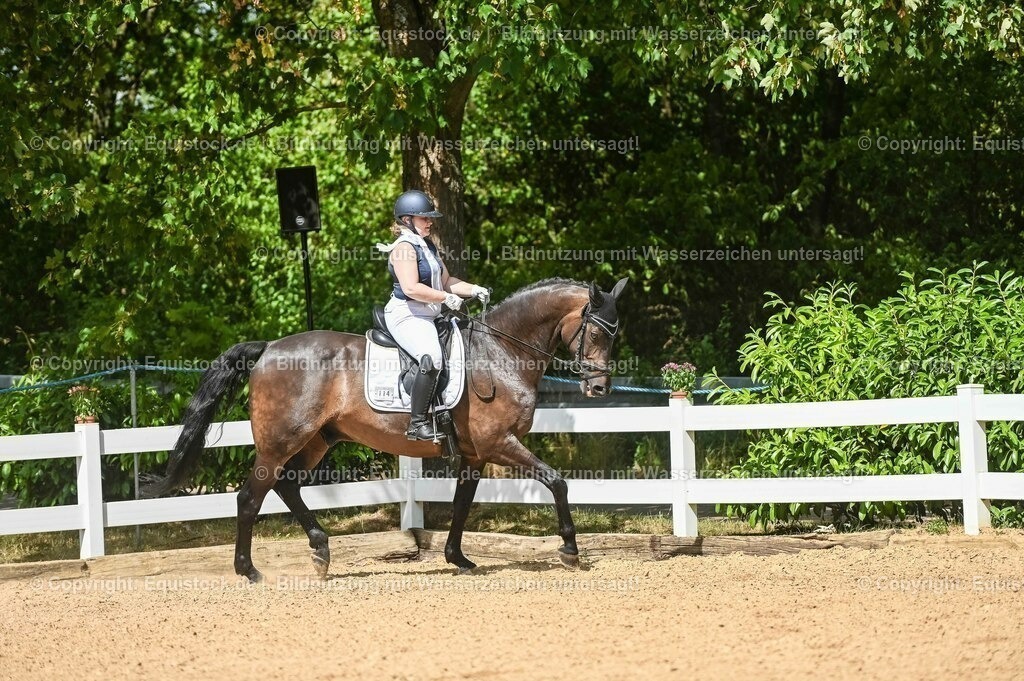 20230715_02_Dressurreiterprüfung Kl.L_0370 | equistock