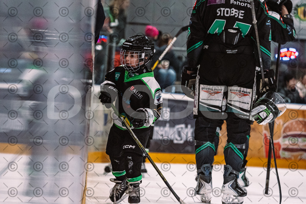 Alligators_vs_Erding_01_02_2026-36 | Höchstadt Alligators Fotogalerie: Eishockey-Action aus Franken. Professionelle Spielfotos, Portraits & Stadionbilder zum Download. Jetzt entdecken! - Realisiert mit Pictrs.com