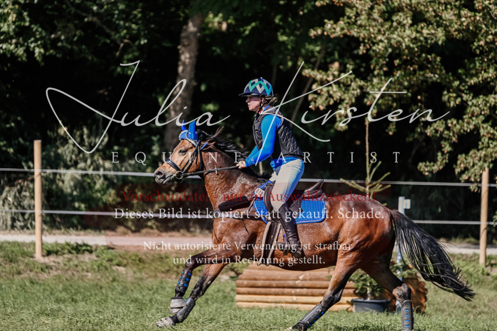 DSC_3120 | Pferde- und Turnierfotografie in Westsachsen. Pferdeportraits, Auftragszeichnungen und intuitive Kunst.