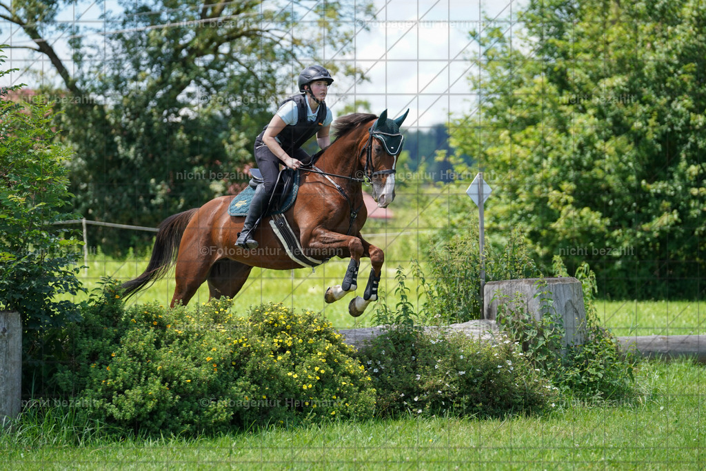 20240622-FAH06927 | Turnierfotografen Bayern, Reitsportbilder aus dem Geländekurs mit Felix Etzel auf dem Gut Waitzacker 2024