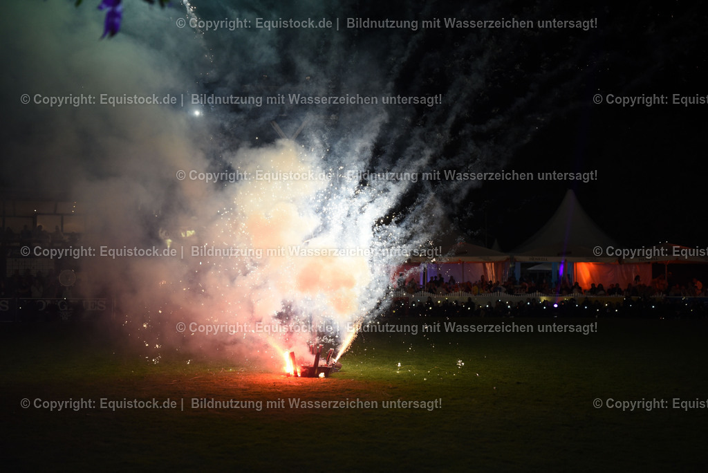 20230526_Pferdenacht_1622 | equistock