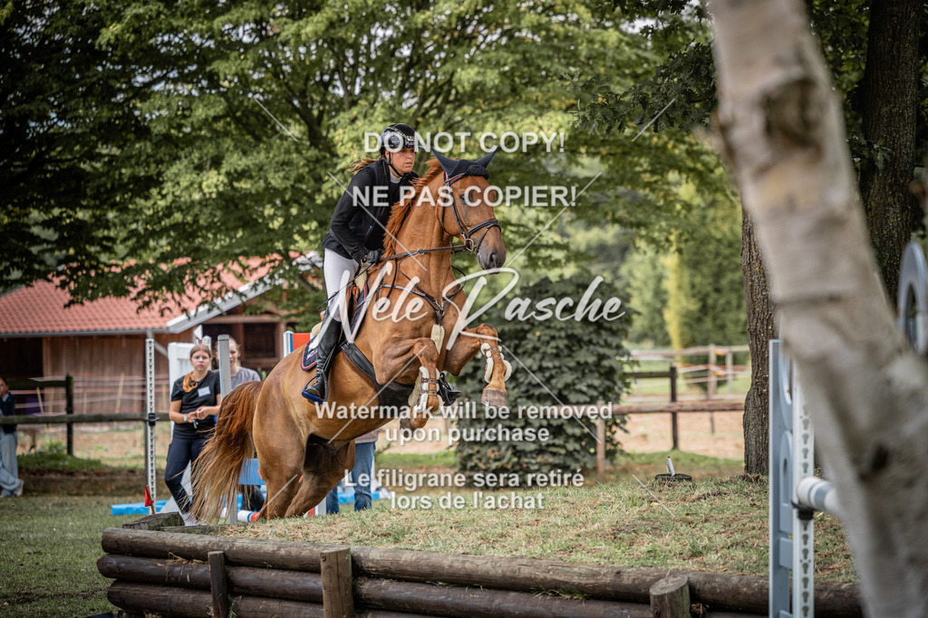 nelerasche_AmmDerbyEde_62 | nelerasche
