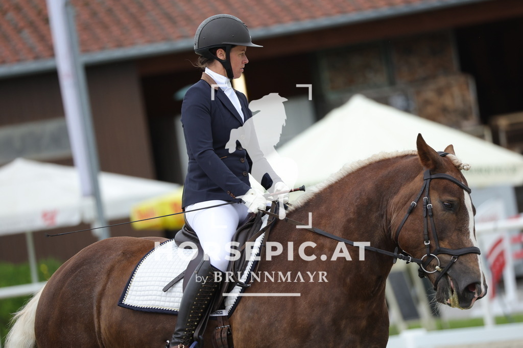 0P6A5207 | Willkommen bei Brunnmayr - Design & Fotografie – Ihrem Spezialisten für Reitturniere und Pferdeveranstaltungen in Oberösterreich, Salzburg und Bayern! Seit über 17 Jahren sind wir leidenschaftlich dabei.