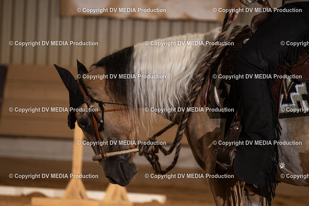 NID00718 | dv-media-shop - Realisiert mit Pictrs.com