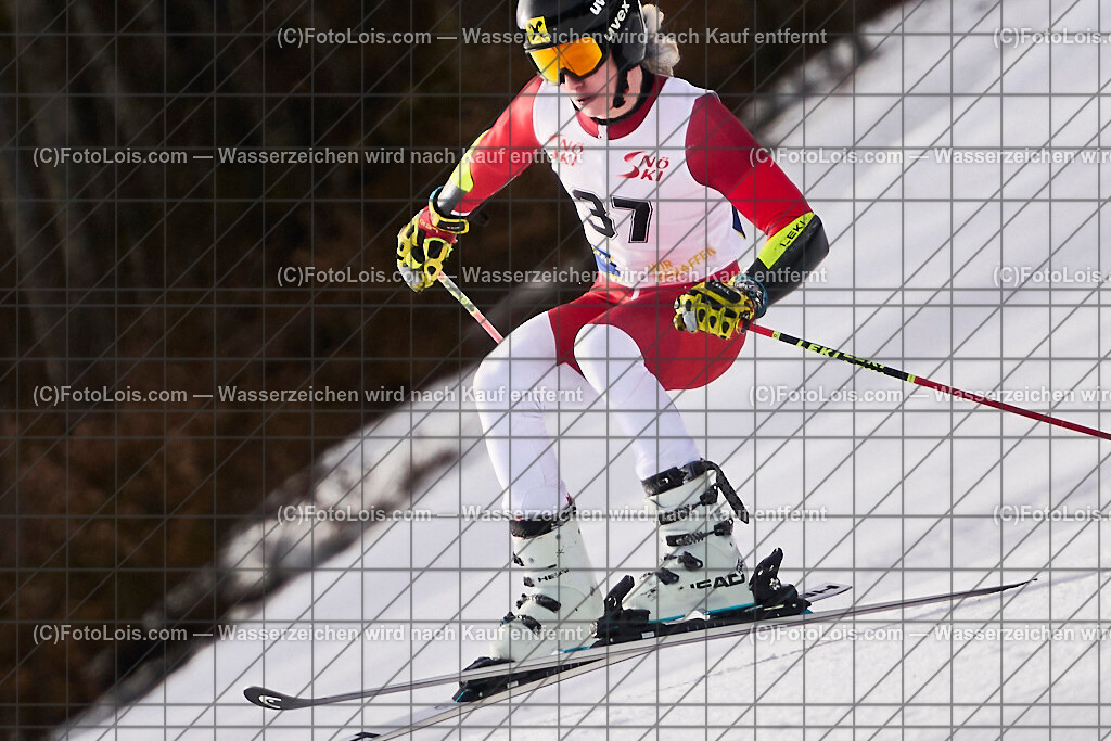 ALP8343_Herrn-FIS-GS-II_Lackenhof-WY_Gstrein Niklas | Internationaler FIS GiantSlalom der Herrn auf der Distelpiste in Lackenhof am Di 11. März 2025.  Österreich, LSV-NÖ, Sportunion Waidhofen/Ybbs (2035).