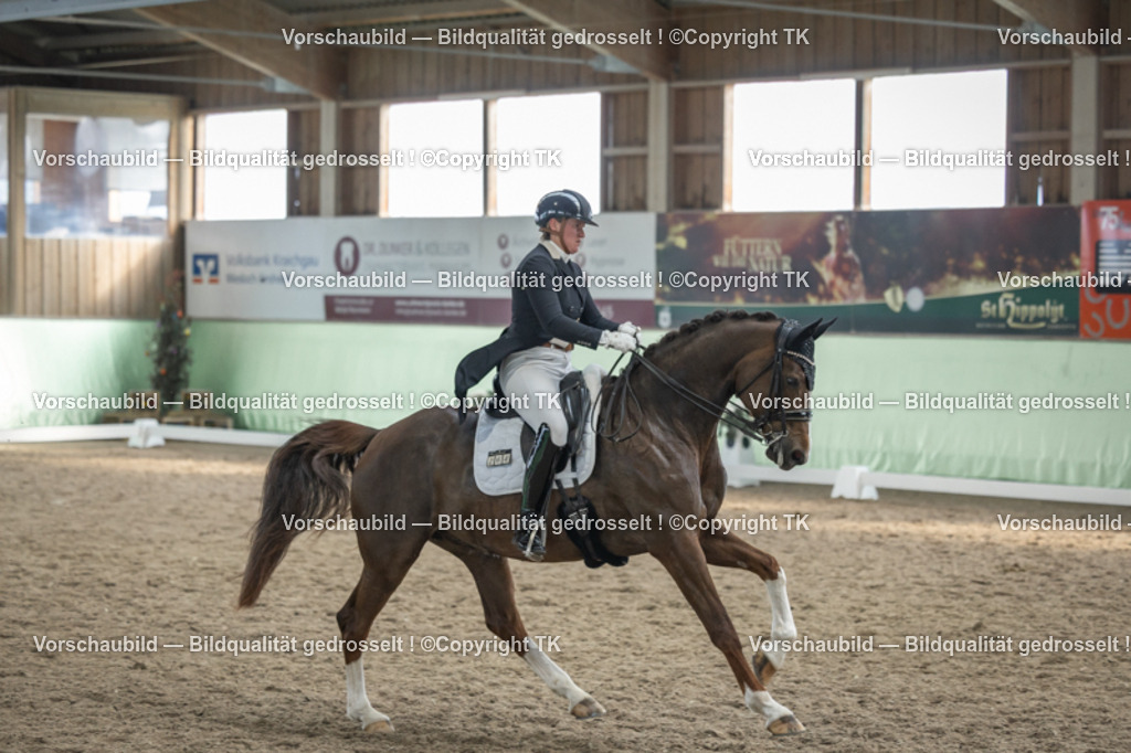 _D5A6639 | Emotionale Pferde- & People-Fotografie rund um Heidelberg, Leimen & Umgebung. Natürliche Fotos von Pferd, Mensch & Familie. Jetzt Termin sichern!