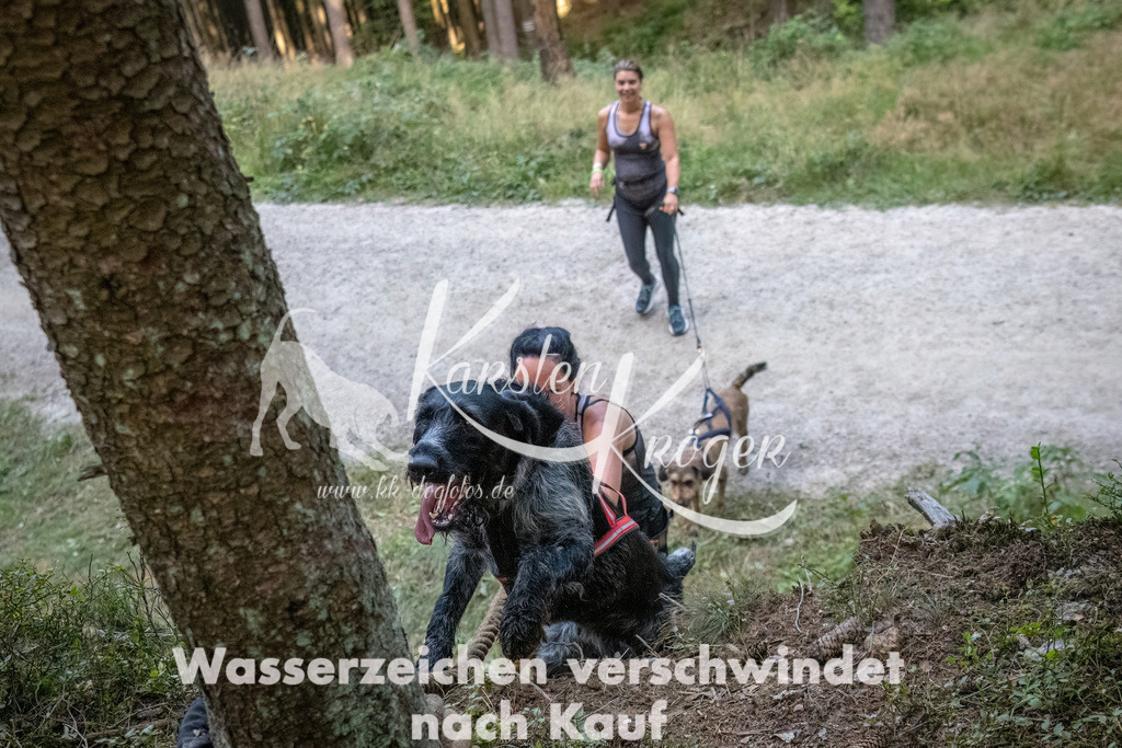 0943_ZZ92844-DeNoiseAI-low-light | kk-dogfotos