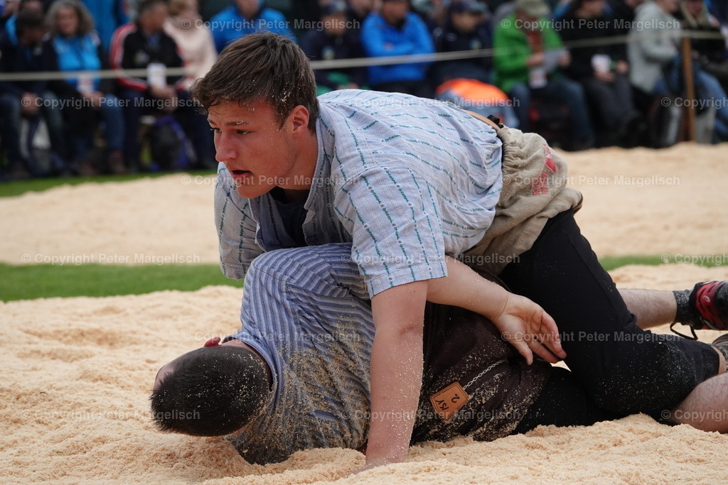 DSC03825 | Schwingen - Realisiert mit Pictrs.com