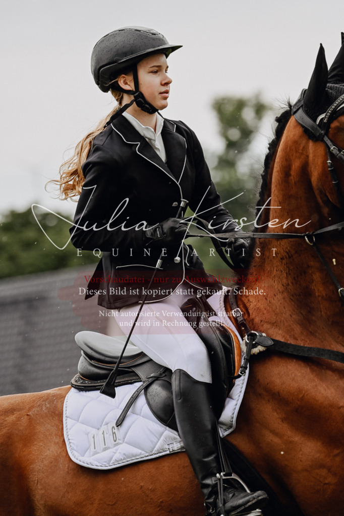 DSC_7002 | Pferde- und Turnierfotografie in Westsachsen. Pferdeportraits, Auftragszeichnungen und intuitive Kunst.