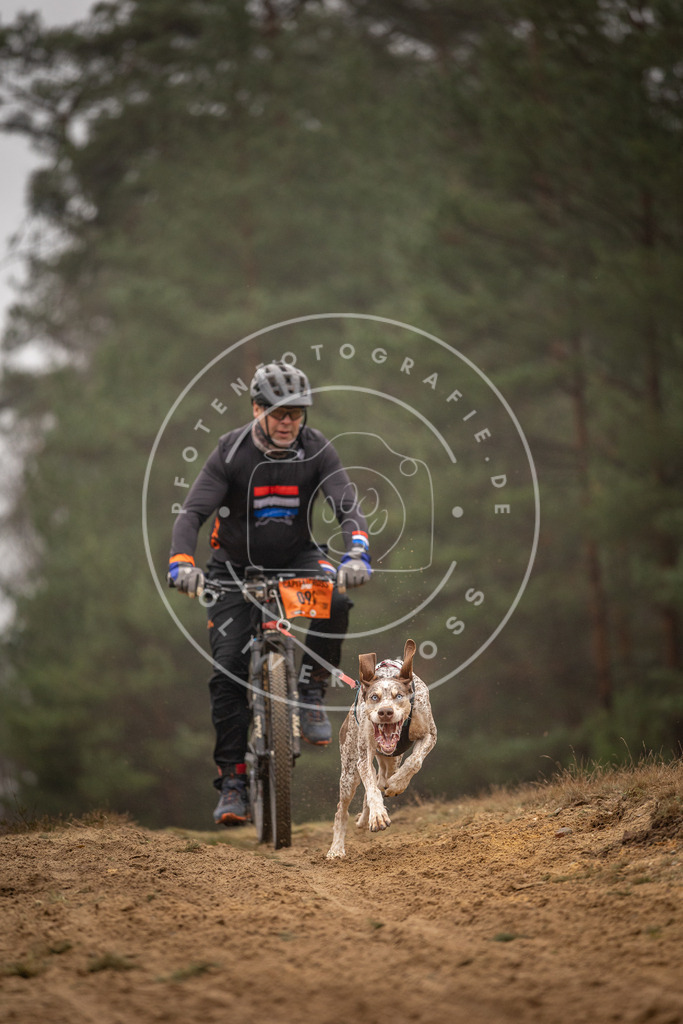 Pfotenfotografie_DV3A3033 | Hundefotografie, Tierfotograf, Pfotenfotografie, Fotoshooting Hund, Hunde Portrait, Hundesport, Hundeportraits, Heideshooting, Hunde, Sportfotograf, Hundefotograf, Turnierhundsport, THS,  - Realisiert mit Pictrs.com