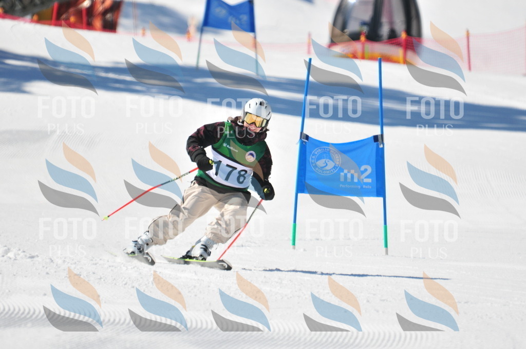 C4269 | holidayphoto