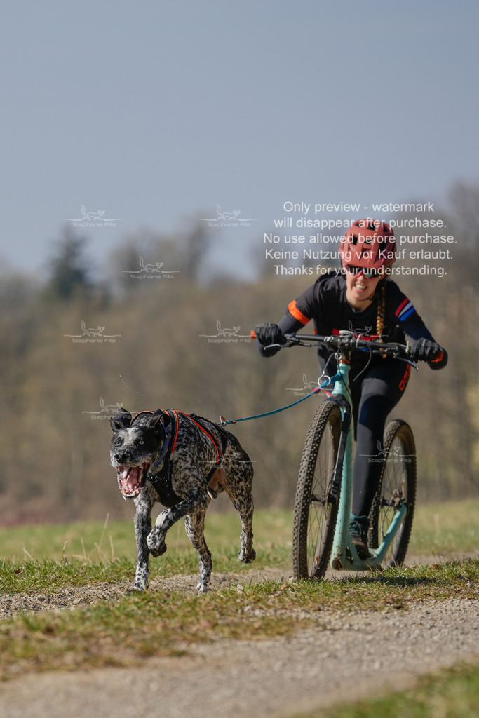Scooter_Lang-61 | stephaniefillaphotographie - Realisiert mit Pictrs.com
