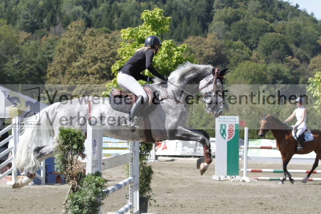 _MG_6491 | equestrian-live-com