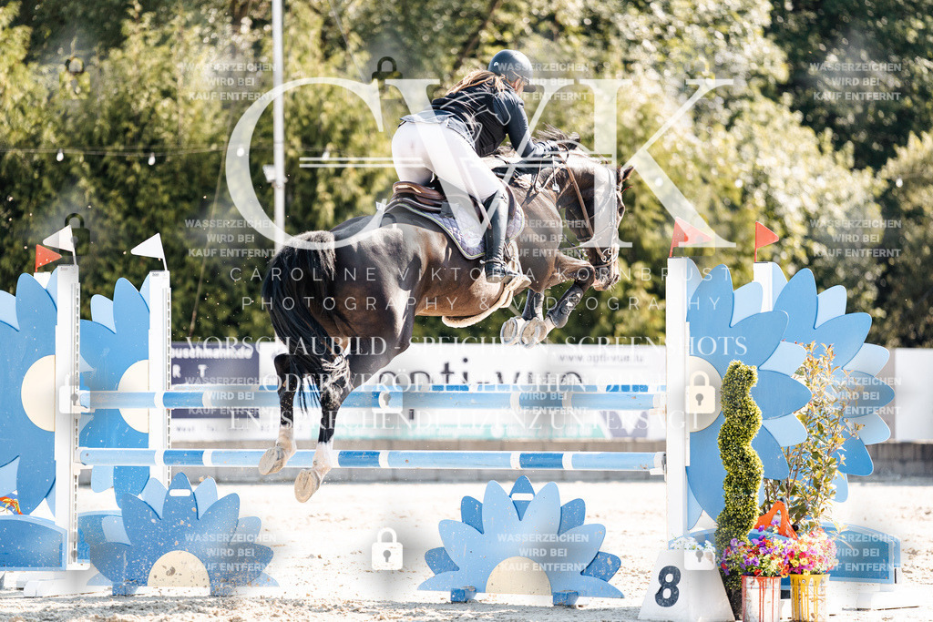 CK902503 | Turnierfotografie Pferdefotografie Trier Rheinland-Pfalz Pferdesport Reitsport Tierfotografie Sportfotografie Pferdevideo Pferdevideografie Equestrianvideography equestrianphotography  - Realisiert mit Pictrs.com