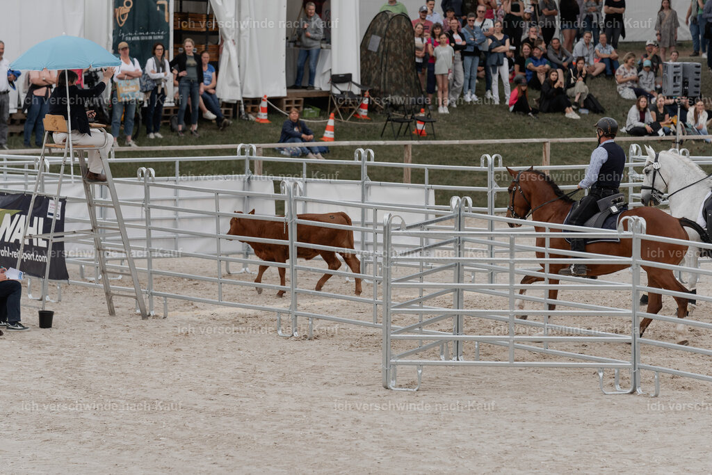 WE__Stoib_Rinder_PI2025_3058 | Pferd International München 2025