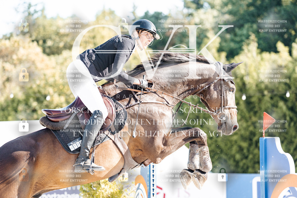 CK904717 | Turnierfotografie Pferdefotografie Trier Rheinland-Pfalz Pferdesport Reitsport Tierfotografie Sportfotografie Pferdevideo Pferdevideografie Equestrianvideography equestrianphotography  - Realisiert mit Pictrs.com
