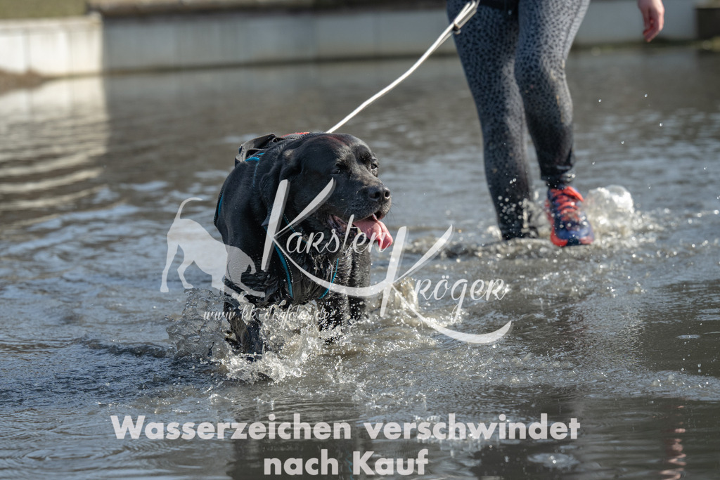 1237_ZZ91085 | kk-dogfotos