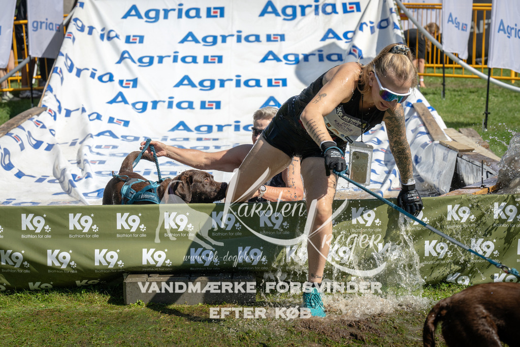 1217_ZZ95878 | kk-dogfotos