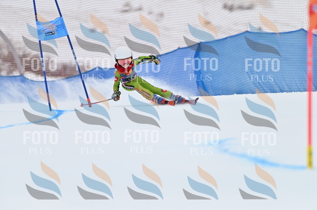 BGV_9341 | holidayphoto