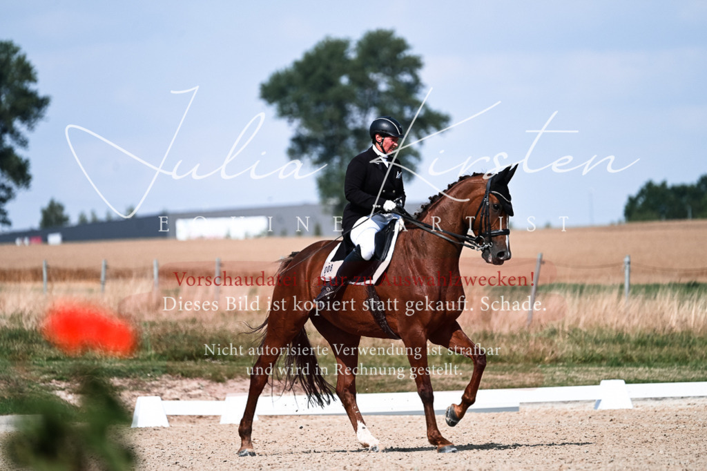 DSC_3257 | Pferde- und Turnierfotografie in Westsachsen. Pferdeportraits, Auftragszeichnungen und intuitive Kunst.