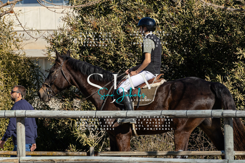 IMG_8294 | s-jay-photography - Realisiert mit Pictrs.com