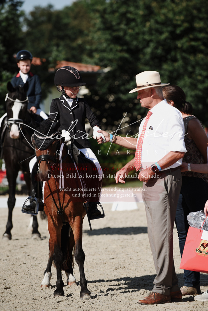 DSC_0200 | Pferde- und Turnierfotografie in Westsachsen. Pferdeportraits, Auftragszeichnungen und intuitive Kunst.