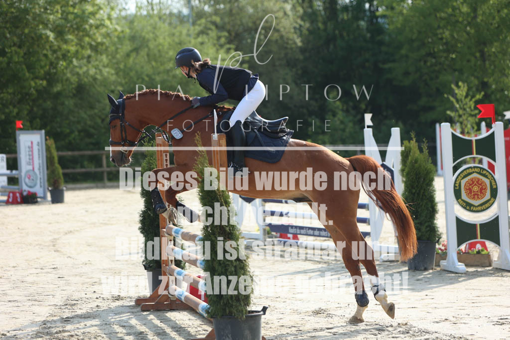 IMGM3505 | pl-fotografie