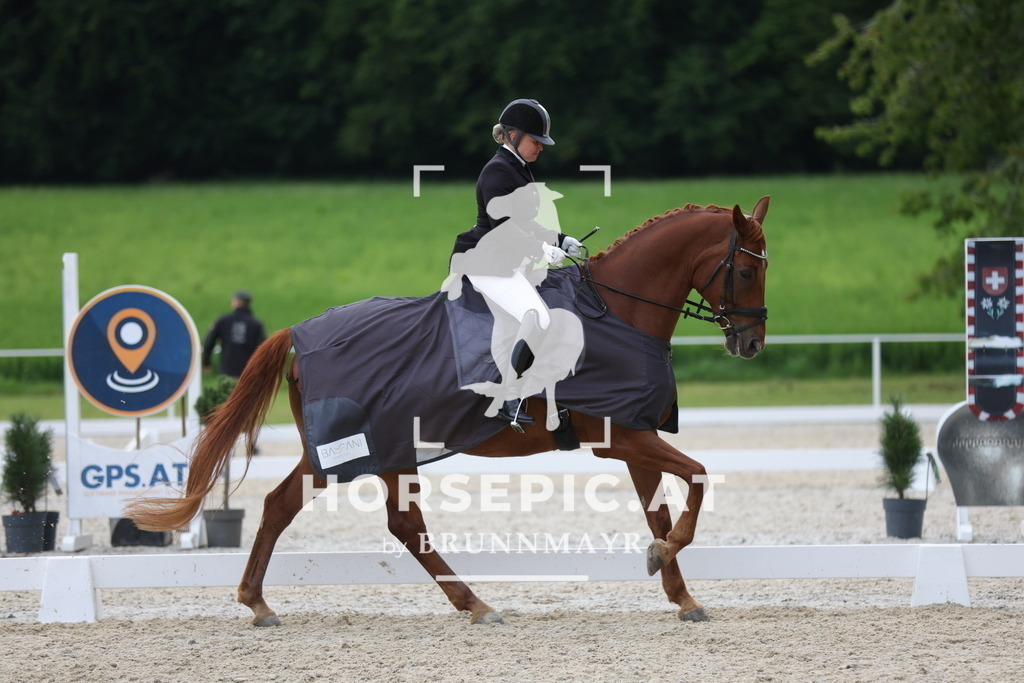 0P6A8193 | Willkommen bei Brunnmayr - Design & Fotografie – Ihrem Spezialisten für Reitturniere und Pferdeveranstaltungen in Oberösterreich, Salzburg und Bayern! Seit über 17 Jahren sind wir leidenschaftlich dabei.