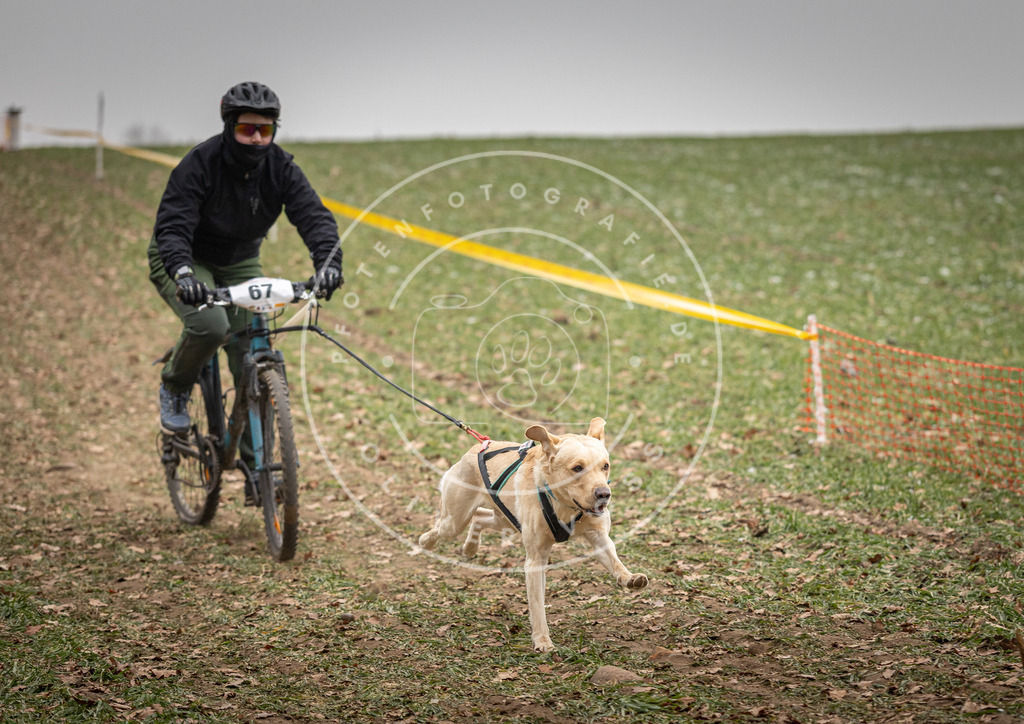 Pfotenfotografie_DV3A2956 | Hundefotografie, Tierfotograf, Pfotenfotografie, Fotoshooting Hund, Hunde Portrait, Hundesport, Hundeportraits, Heideshooting, Hunde, Sportfotograf, Hundefotograf, Turnierhundsport, THS,  - Realisiert mit Pictrs.com