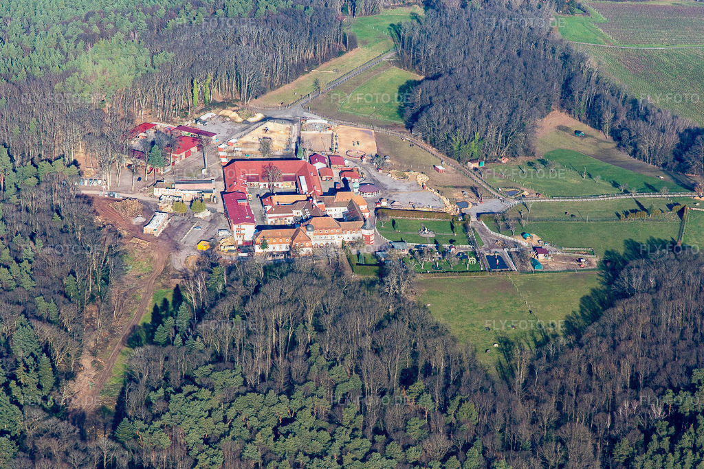 Kloster Liebfrauenberg | Luftbild: Kloster Liebfrauenberg in Bad Bergzabern im Bundesland Rheinland-Pfalz in Deutschland. Foto: IMG_145029.jpg vom 27.12.2024 durch ©2025 Werner Riehm fly-foto.de/copyright - Realisiert mit Pictrs.com