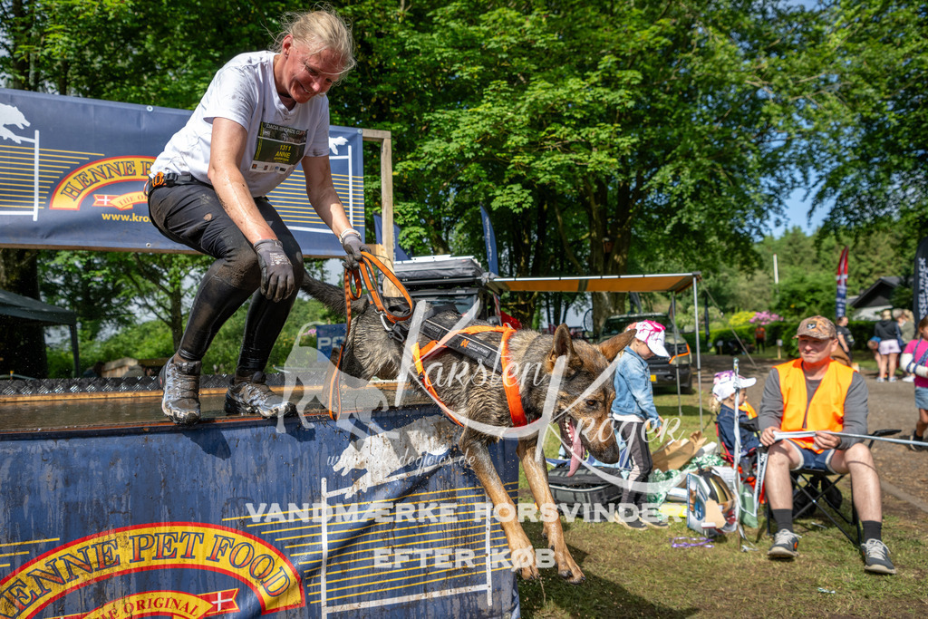 0905_ZZ93480 | kk-dogfotos