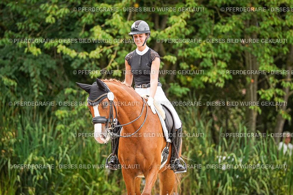 DSC08018 | Pferdegrafie