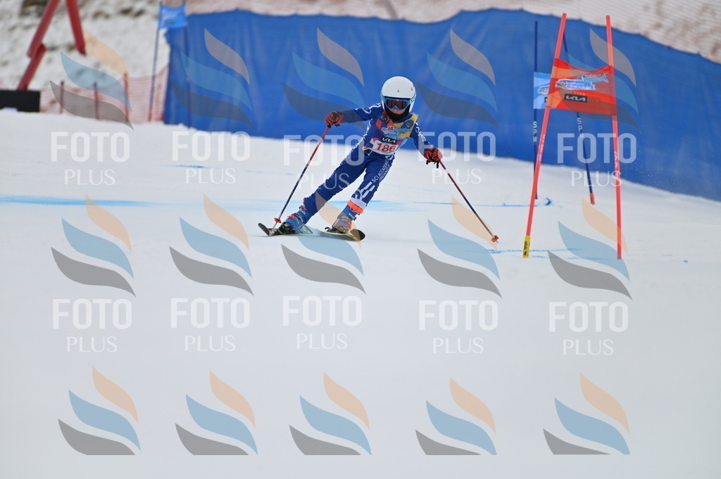 BGV_1215 | holidayphoto