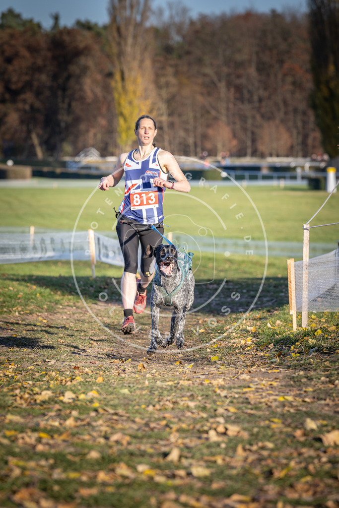 CaniXpix_DV3A3075 | Hundefotografie, Tierfotograf, Pfotenfotografie, Fotoshooting Hund, Hunde Portrait, Hundesport, Hundeportraits, Heideshooting, Hunde, Sportfotograf, Hundefotograf, Turnierhundsport, THS,  - Realisiert mit Pictrs.com