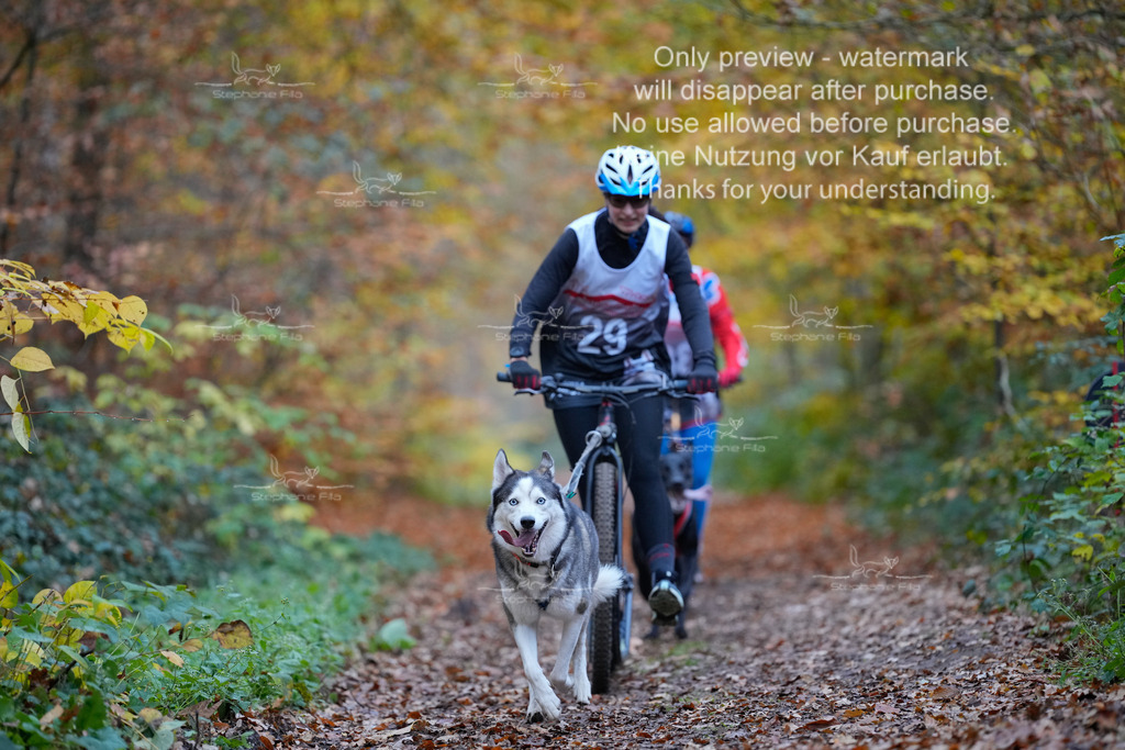Scooter_So-63 | stephaniefillaphotographie - Realisiert mit Pictrs.com