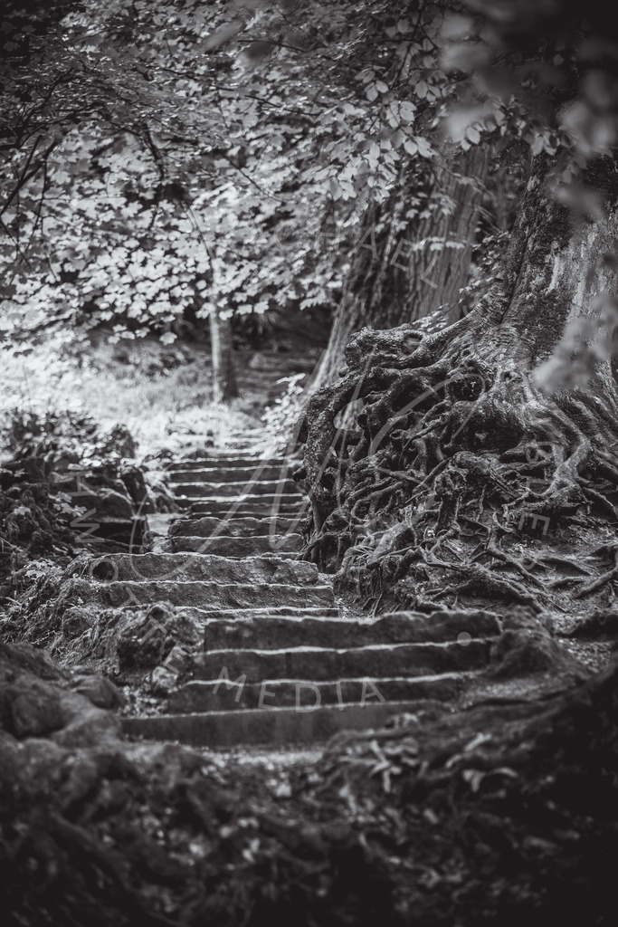 2020-08-13 Bad Urach Wasserfall -21 | Treppe am Bad Uracher Wasserfall - Realisiert mit Pictrs.com