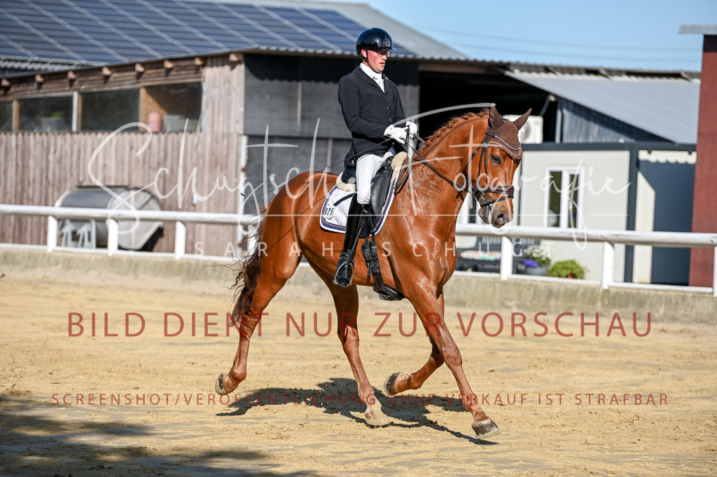 Schugtsche-Aluta25-51.Dressurpferdeprf.M-74 | Schugtsche Fotografie - Realisiert mit Pictrs.com