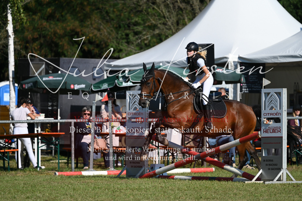 DSC_5158 | Pferde- und Turnierfotografie in Westsachsen. Pferdeportraits, Auftragszeichnungen und intuitive Kunst.