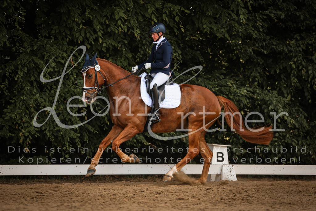 10.FrDrL00496 | Leoni Ertmer Photography - Realisiert mit Pictrs.com