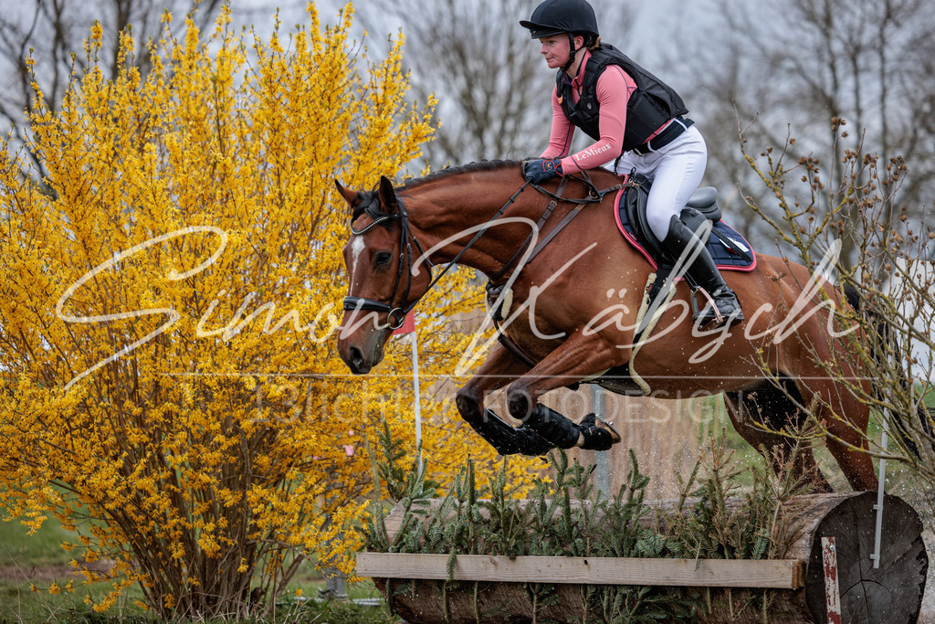 20260329-_3LI5730 | Tierfotografie Pferde, Hunde, Katzen, Haustiere.
Turnierfotografie Reitturniere, Reiten, Springreiten, Dressur in Hanau, dem Main-Kinzig-Kreis und dem Rhein-Main- Gebiet um Frankfurt