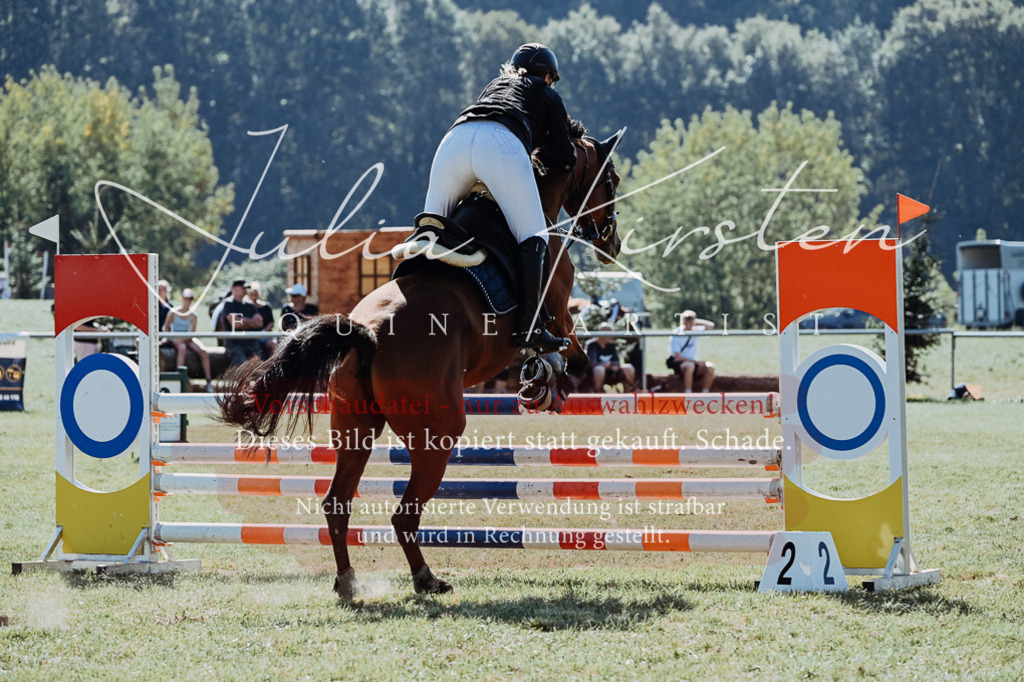 DSC_5784 | Pferde- und Turnierfotografie in Westsachsen. Pferdeportraits, Auftragszeichnungen und intuitive Kunst.