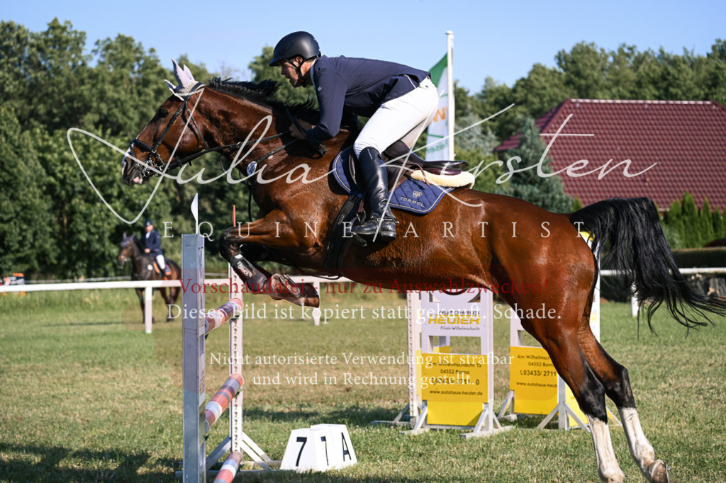 DSC_1633 | Pferde- und Turnierfotografie in Westsachsen. Pferdeportraits, Auftragszeichnungen und intuitive Kunst.