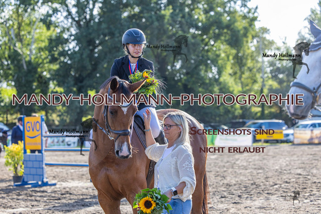 Ehrung (266 von 693) | mandyhollmannphotographie