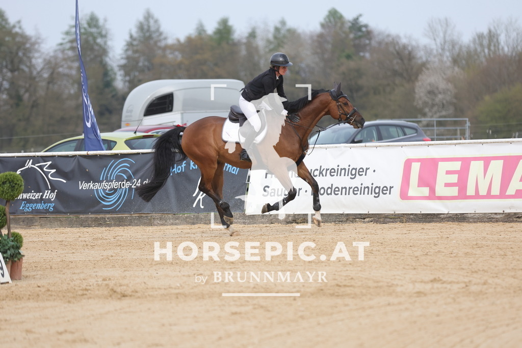 0P6A7518 | Willkommen bei Brunnmayr - Design & Fotografie – Ihrem Spezialisten für Reitturniere und Pferdeveranstaltungen in Oberösterreich, Salzburg und Bayern! Seit über 17 Jahren sind wir leidenschaftlich dabei.