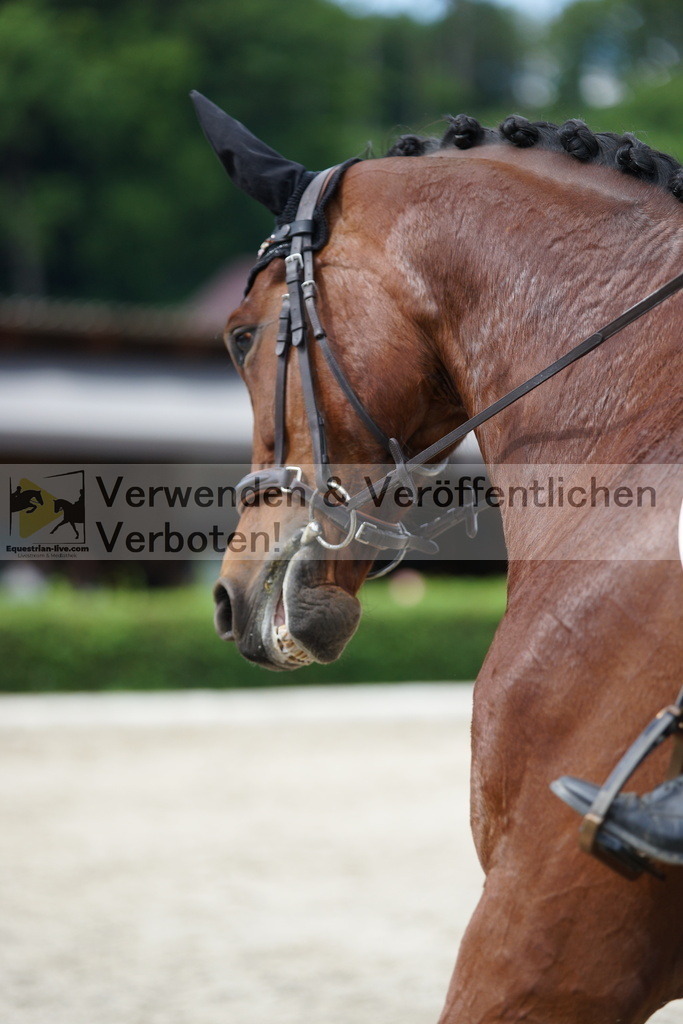 DSC05463 | equestrian-live-com