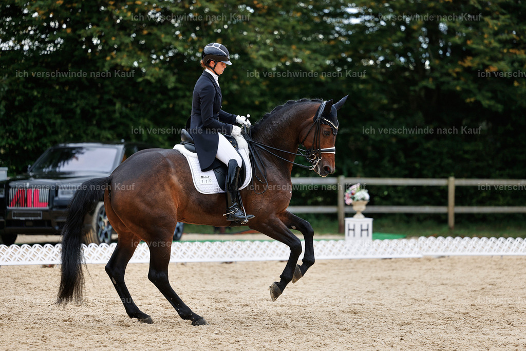 11-110-Dressur S___-StoibPH-1370 | working equitationturnier fotograf videograf stoibphotography marixx film working equitation deutschland reitsport turnierfotografie eventfotografie equestrian events