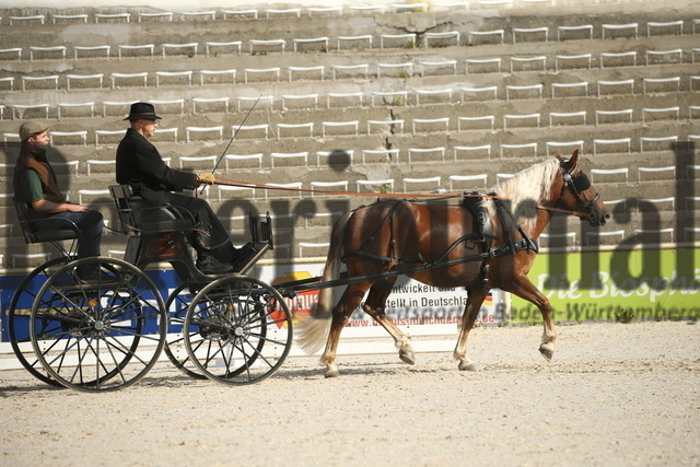 Leistungsprüfung_Fahren_KN_10_Marbach_2022 (13) | Alle Fotos der Reiterjournal Fotografin Doris Matthaes im Reiterjournal Online-Fotoshop. - Realisiert mit Pictrs.com